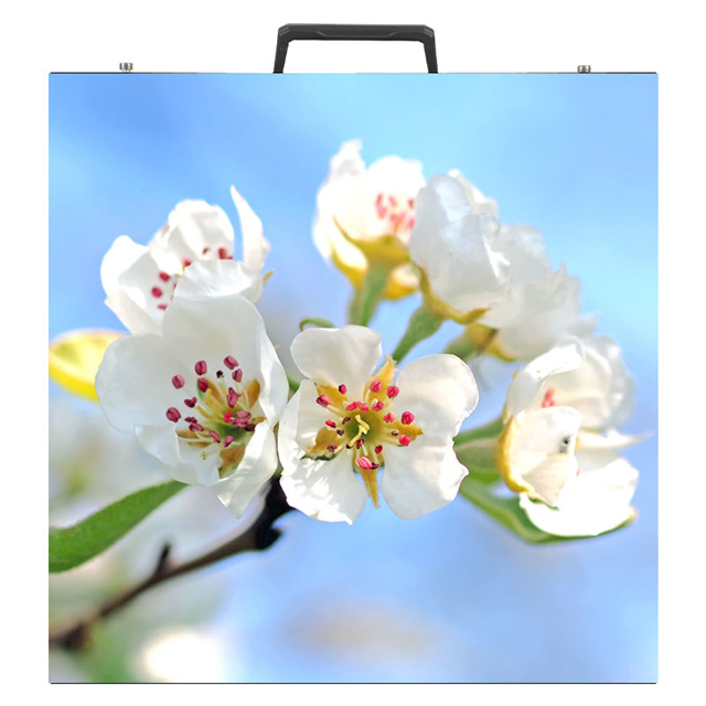 500x500mm Outdoor Giant Stage Background Led Video Wall P3.91 Seamless Splicing Rental LED Display Screen