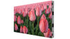  Hot Selling Outdoor Advertising Signs Screens Digital Signage LED Display